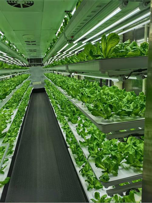 币游·国际(中国游)官方网站